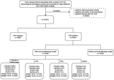 Decoding Fujian’s cervical HPV landscape: unmasking dominance of non-16/18 HR-HPV and tailoring prevention strategies at a large scale